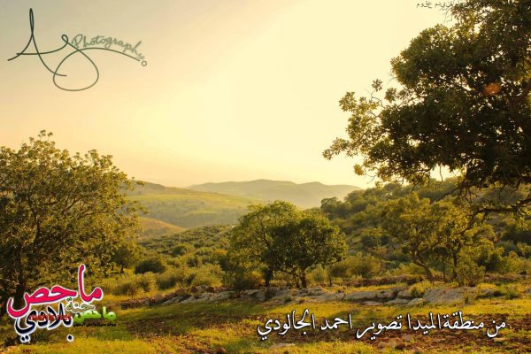 ماحص جارة القمر